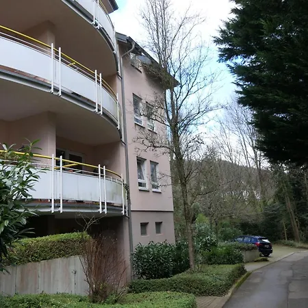 شقة Wohnung Baden-Baden بادن بادن