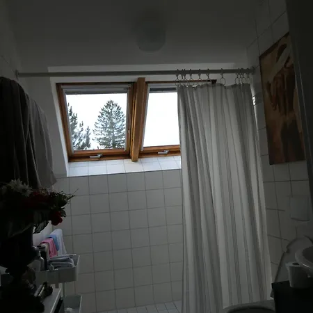 Wohnung Baden-Baden شقة بادن بادن